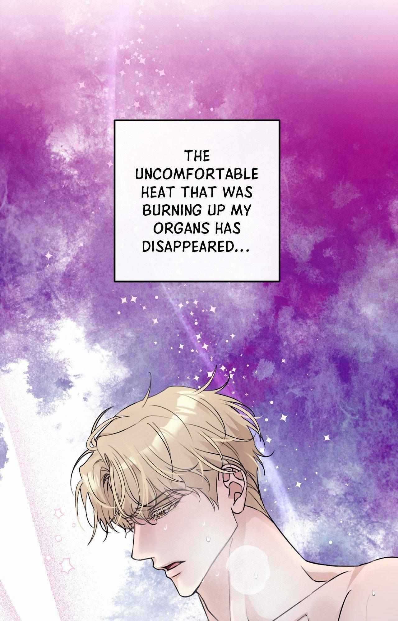 Symbiotic Relationship Between the Sun and the Moon Chapter 25 page 38 - 