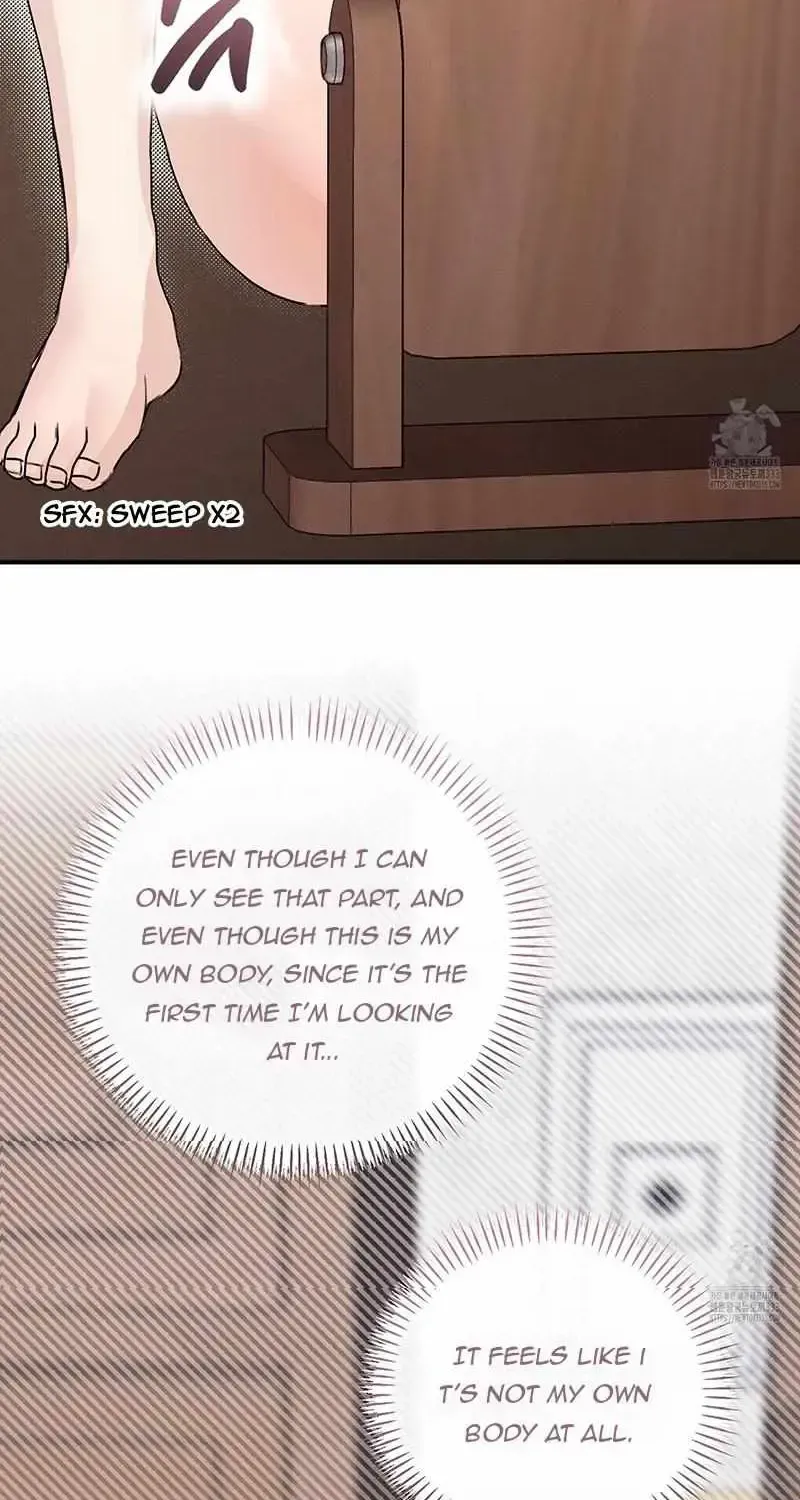 Symbiotic Relationship Between the Sun and the Moon Chapter 3.2 page 11 - 