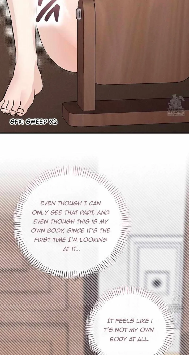 Symbiotic Relationship Between the Sun and the Moon Chapter 3 page 12 - 