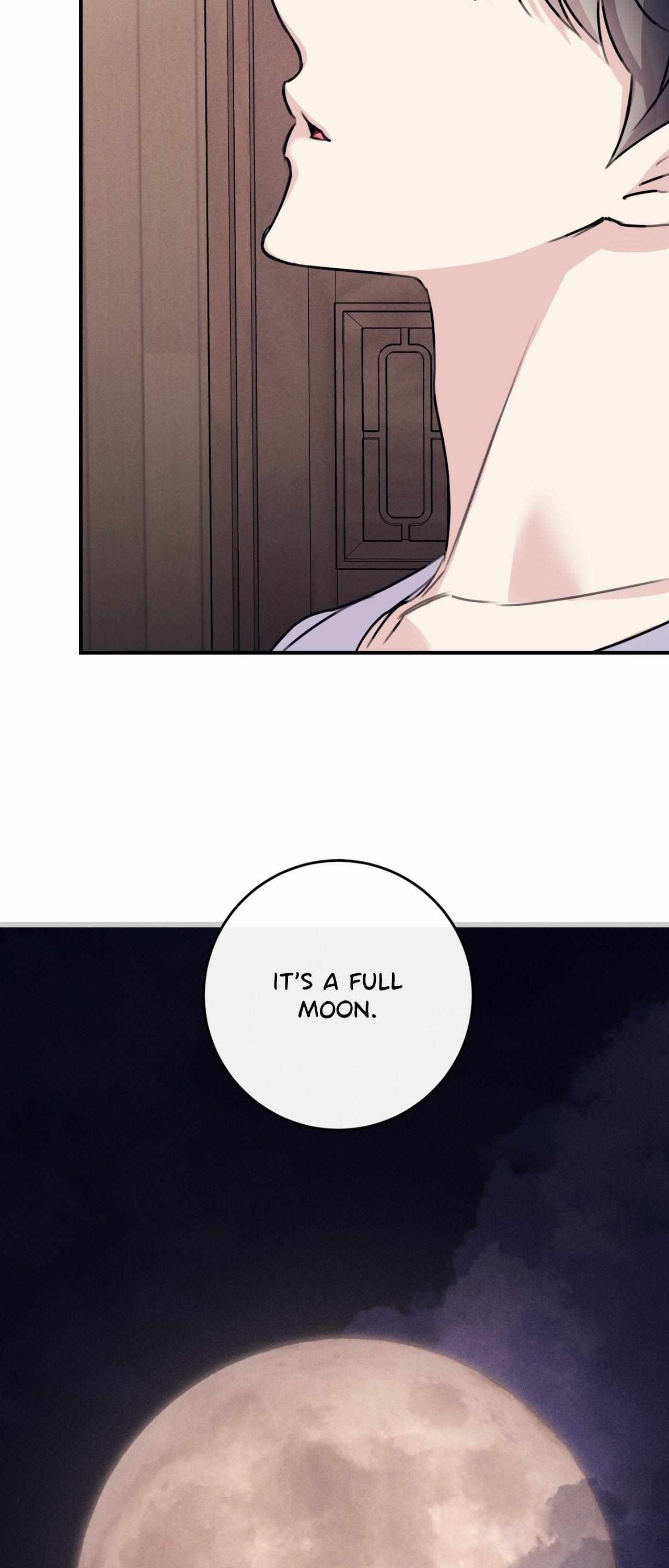 Symbiotic Relationship Between the Sun and the Moon Chapter 33 page 19 - 