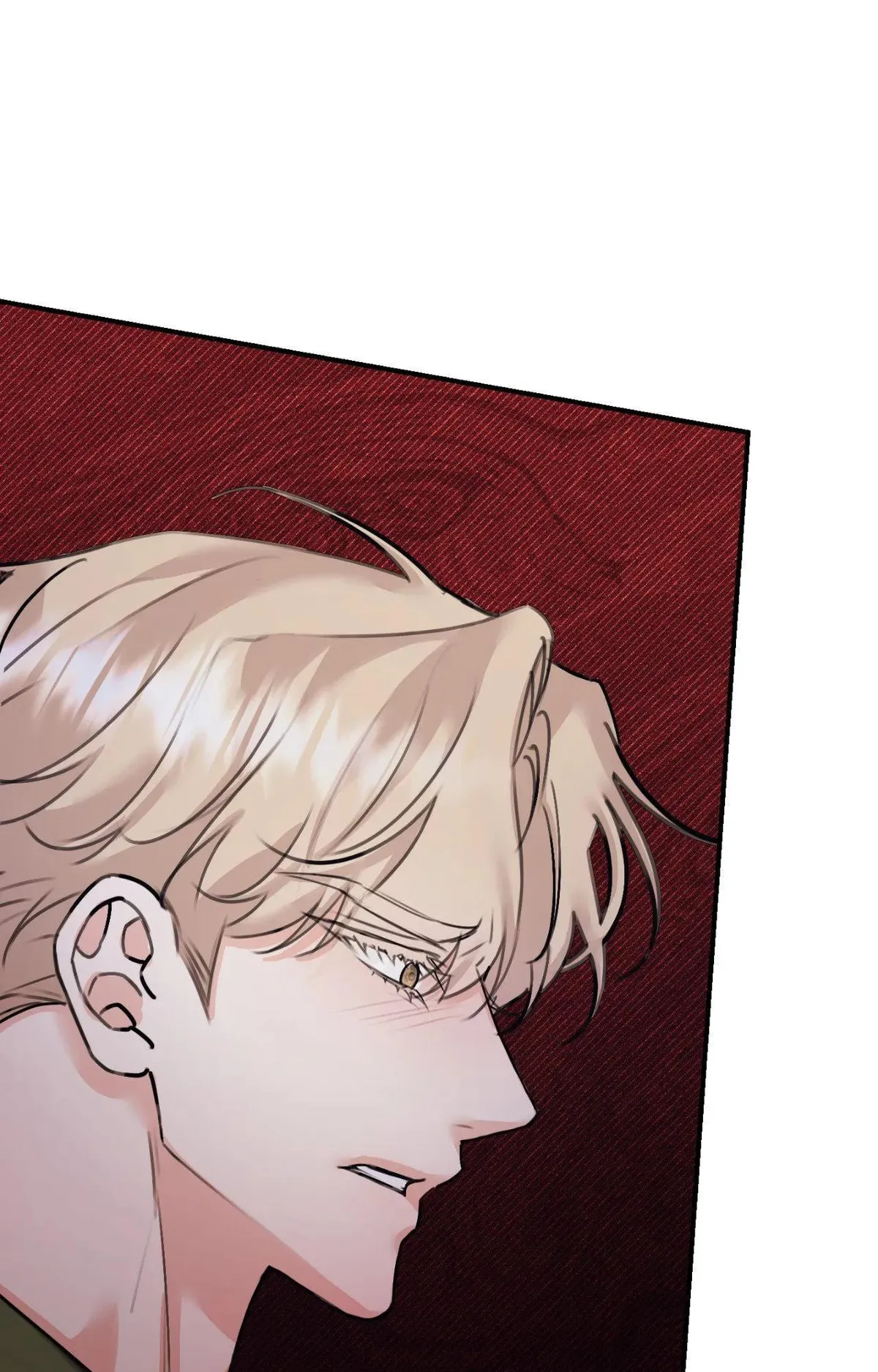 Symbiotic Relationship Between the Sun and the Moon Chapter 50 page 37 - 