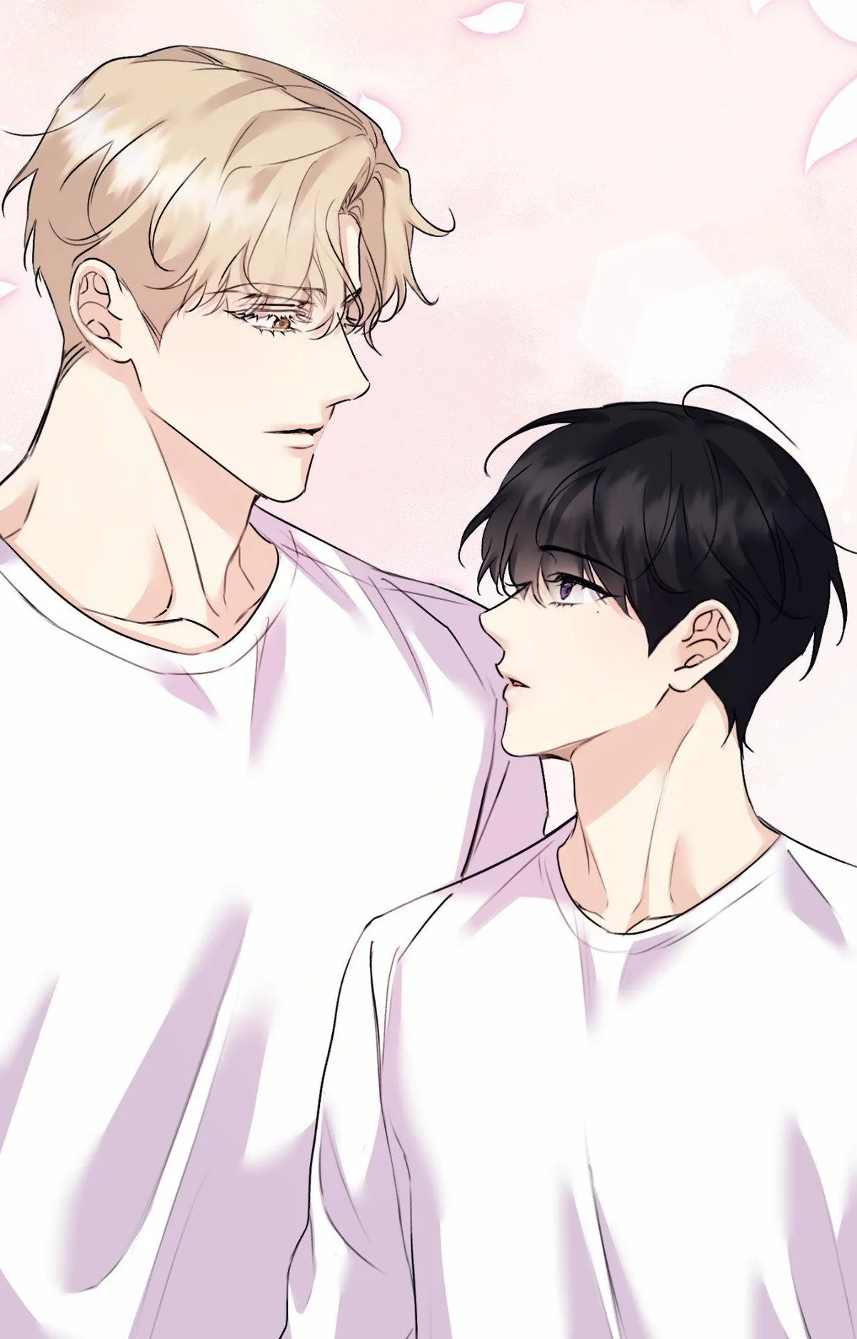 Symbiotic Relationship Between the Sun and the Moon Chapter 51 page 39 - 