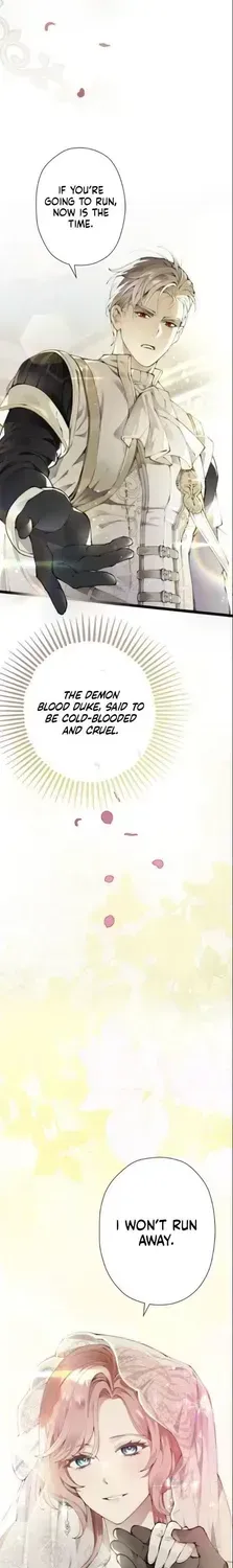 Tada no Keiyaku Kon no Hazu na no ni, Yomei Ichinen no Reitetsu Koushaku ni Dekiai Sarete Imasu Chapter 1.1 page 2 - 