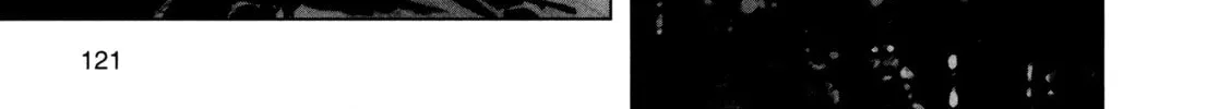 Taitei no Ken Chapter 4 page 70 - 