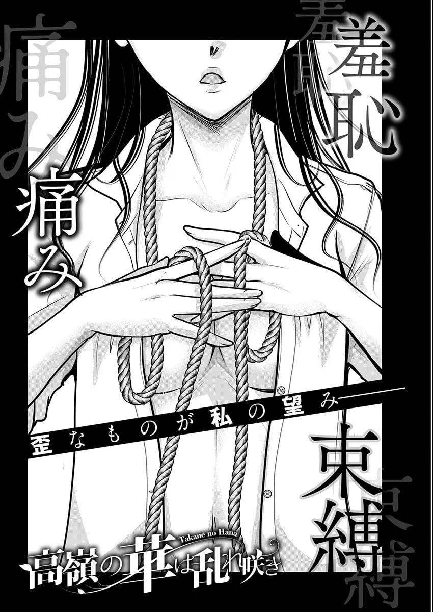 Takane no Hana wa Midaresaki Chapter 62 page 4 - 