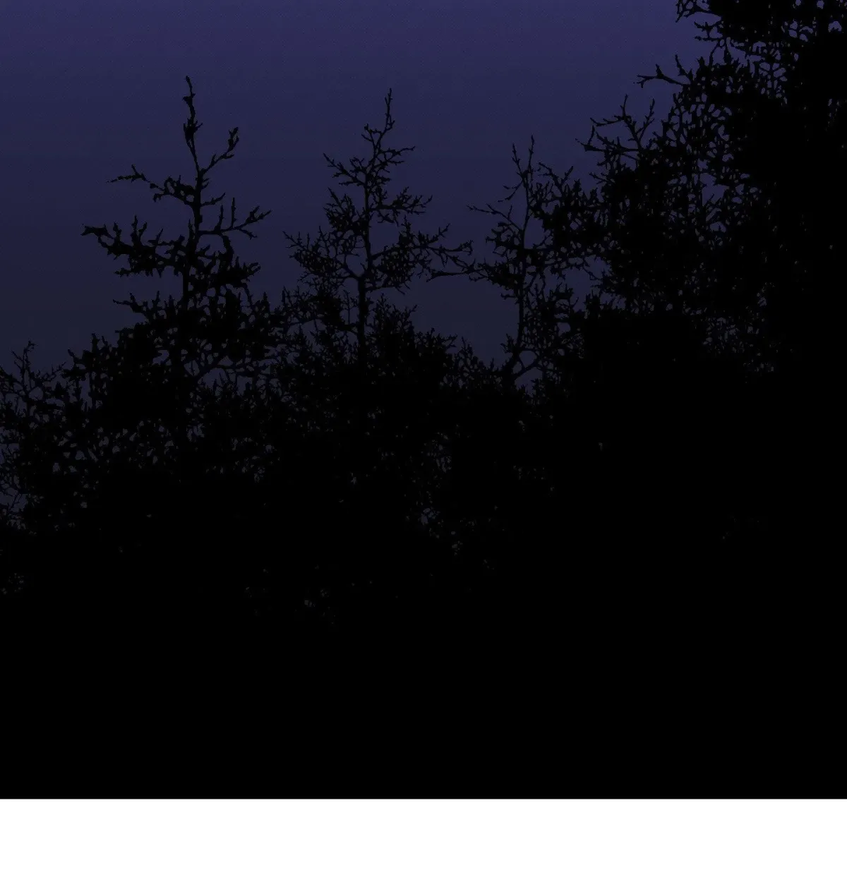 Tales of a Moonless Night Chapter 25 page 3 - 