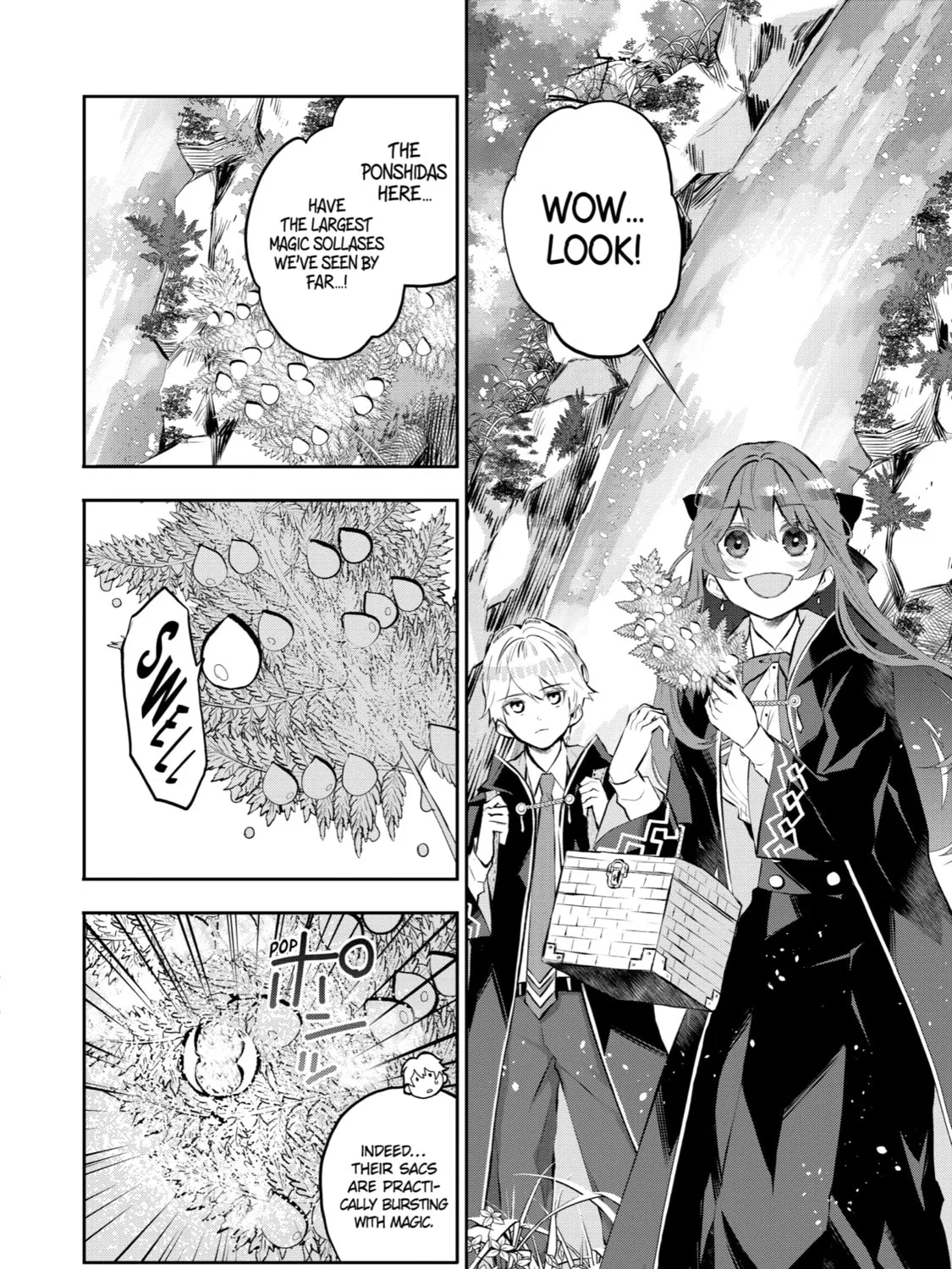 Tales of Reincarnation in Maydare: The World