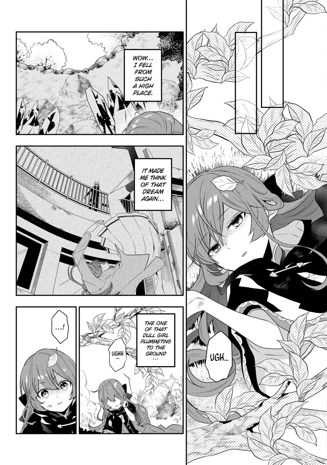 Tales of Reincarnation in Maydare: The World