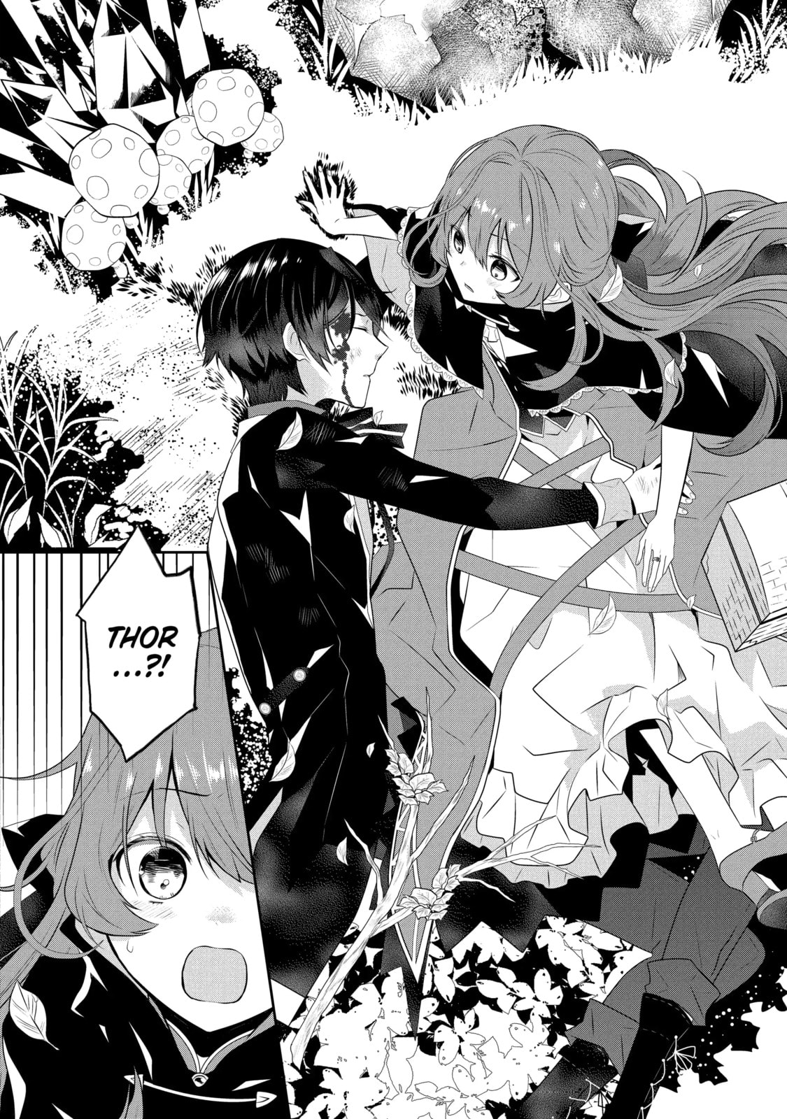 Tales of Reincarnation in Maydare: The World