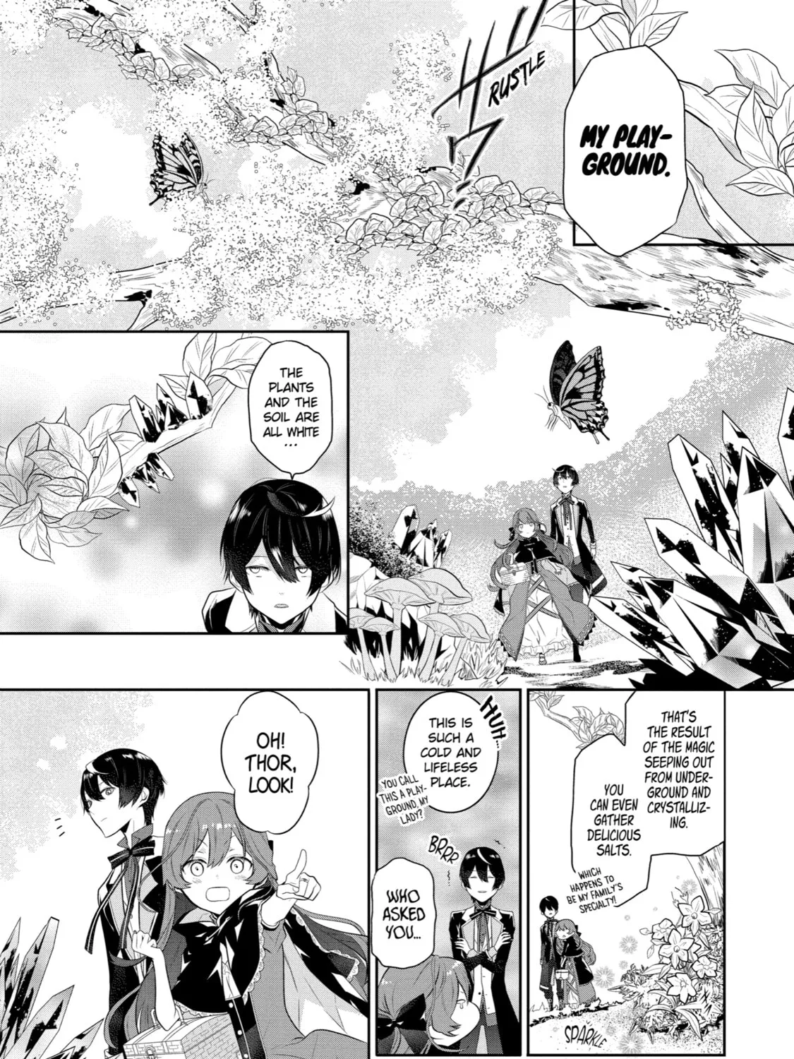 Tales of Reincarnation in Maydare: The World