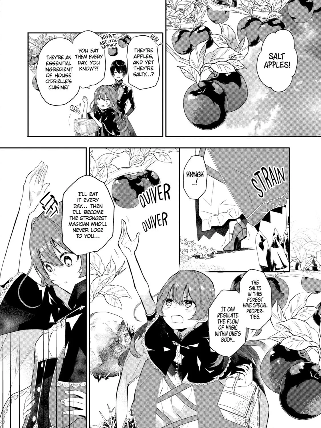 Tales of Reincarnation in Maydare: The World