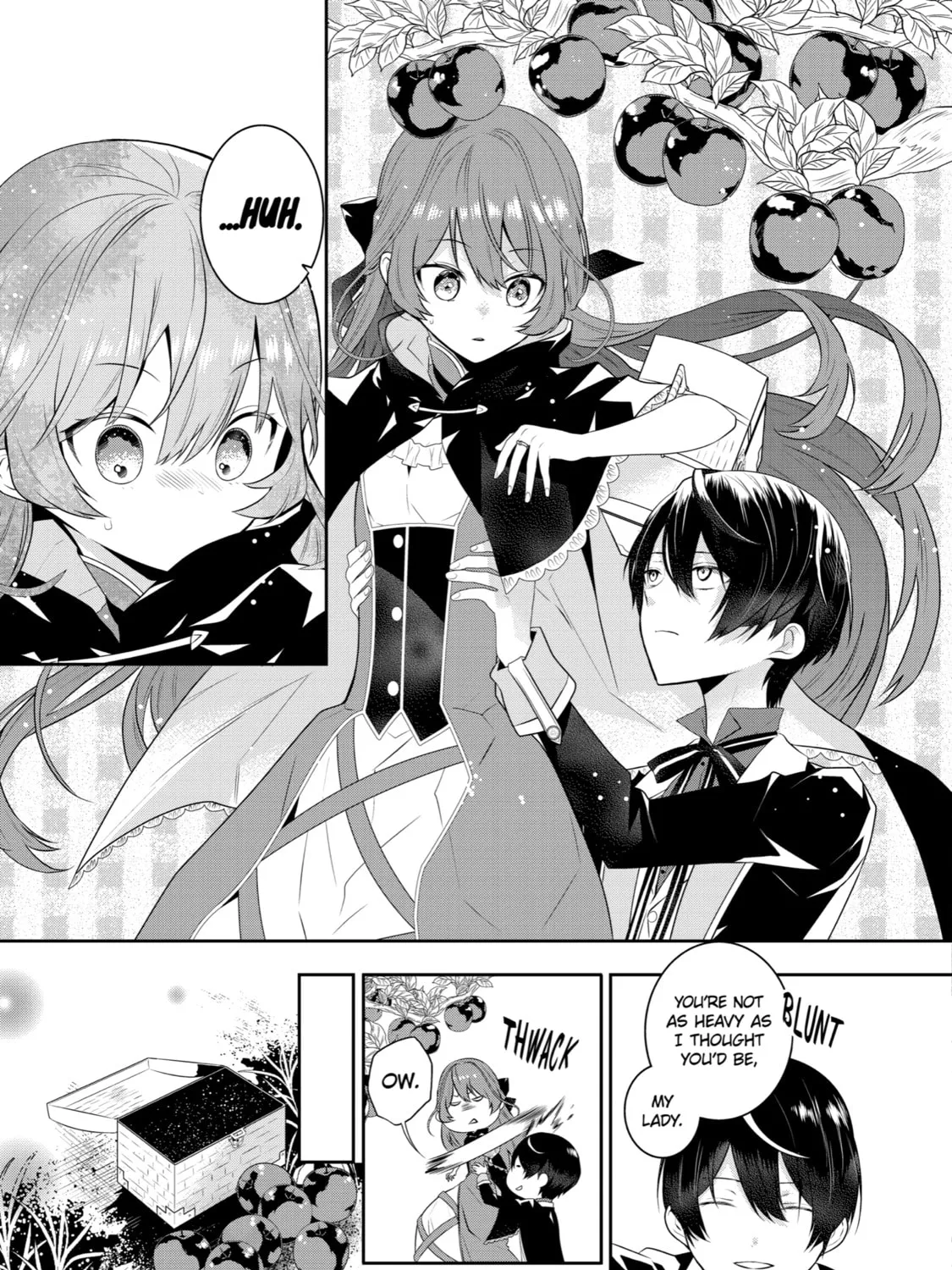 Tales of Reincarnation in Maydare: The World