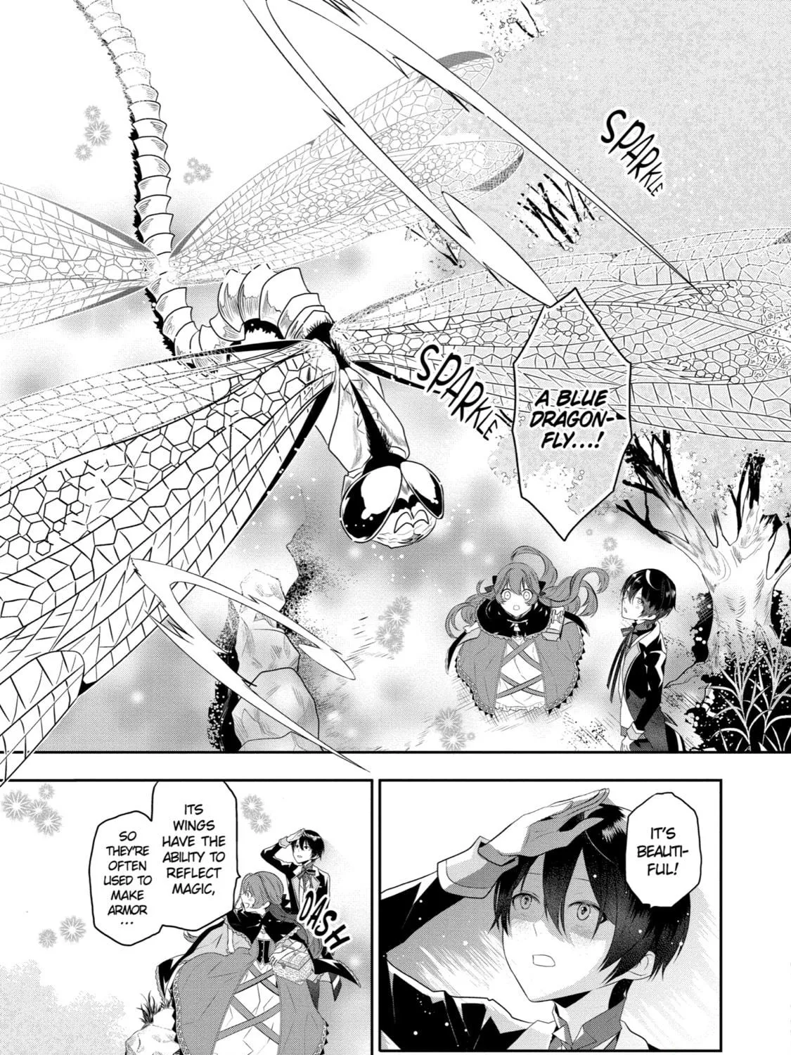 Tales of Reincarnation in Maydare: The World