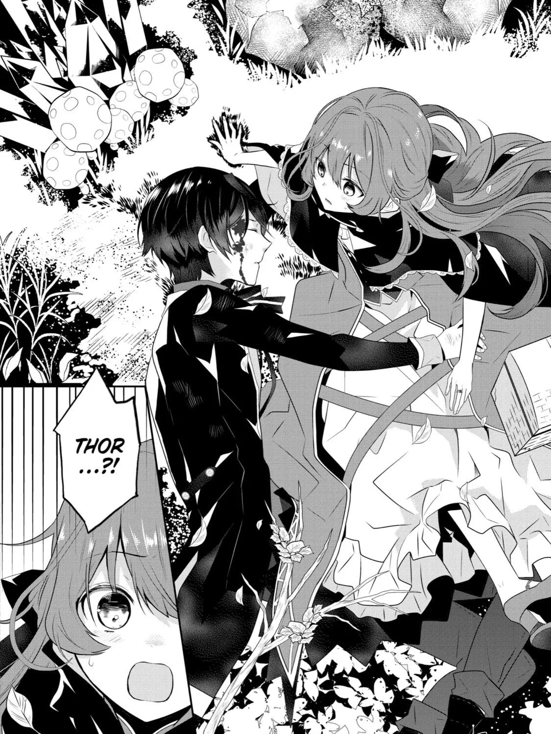 Tales of Reincarnation in Maydare: The World