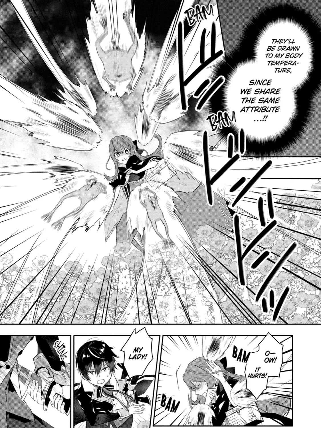 Tales of Reincarnation in Maydare: The World