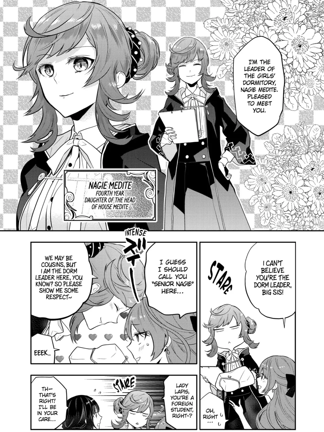 Tales of Reincarnation in Maydare: The World