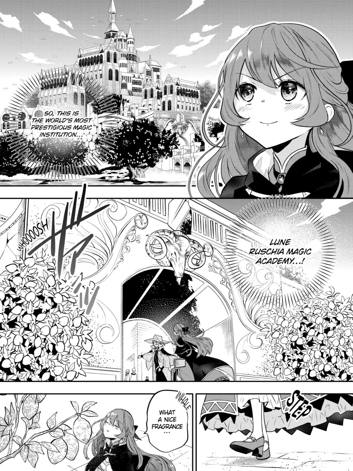 Tales of Reincarnation in Maydare: The World