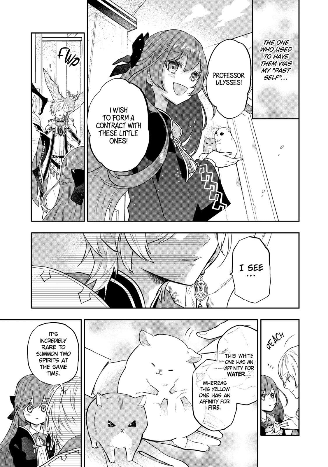 Tales of Reincarnation in Maydare: The World