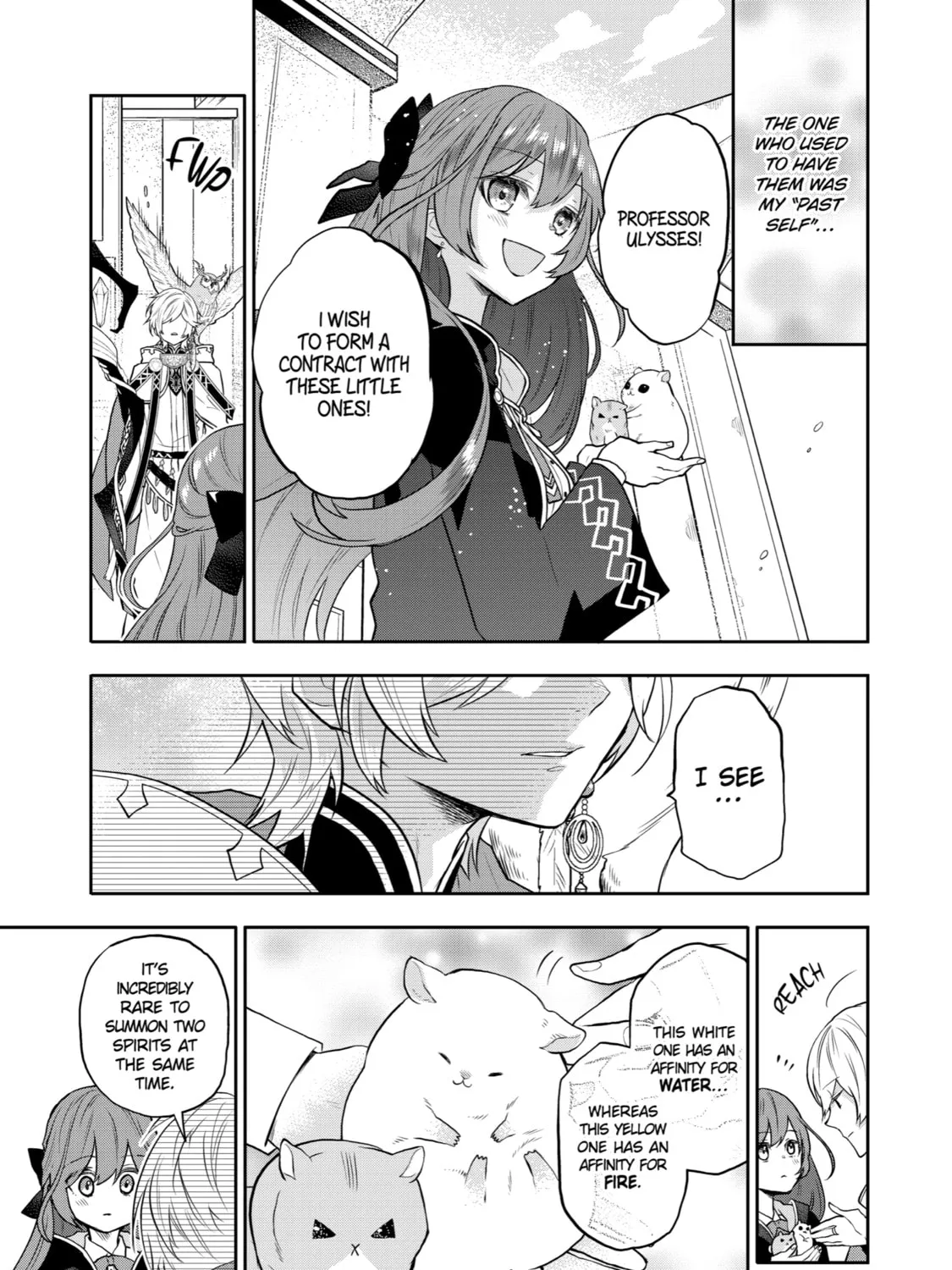 Tales of Reincarnation in Maydare: The World