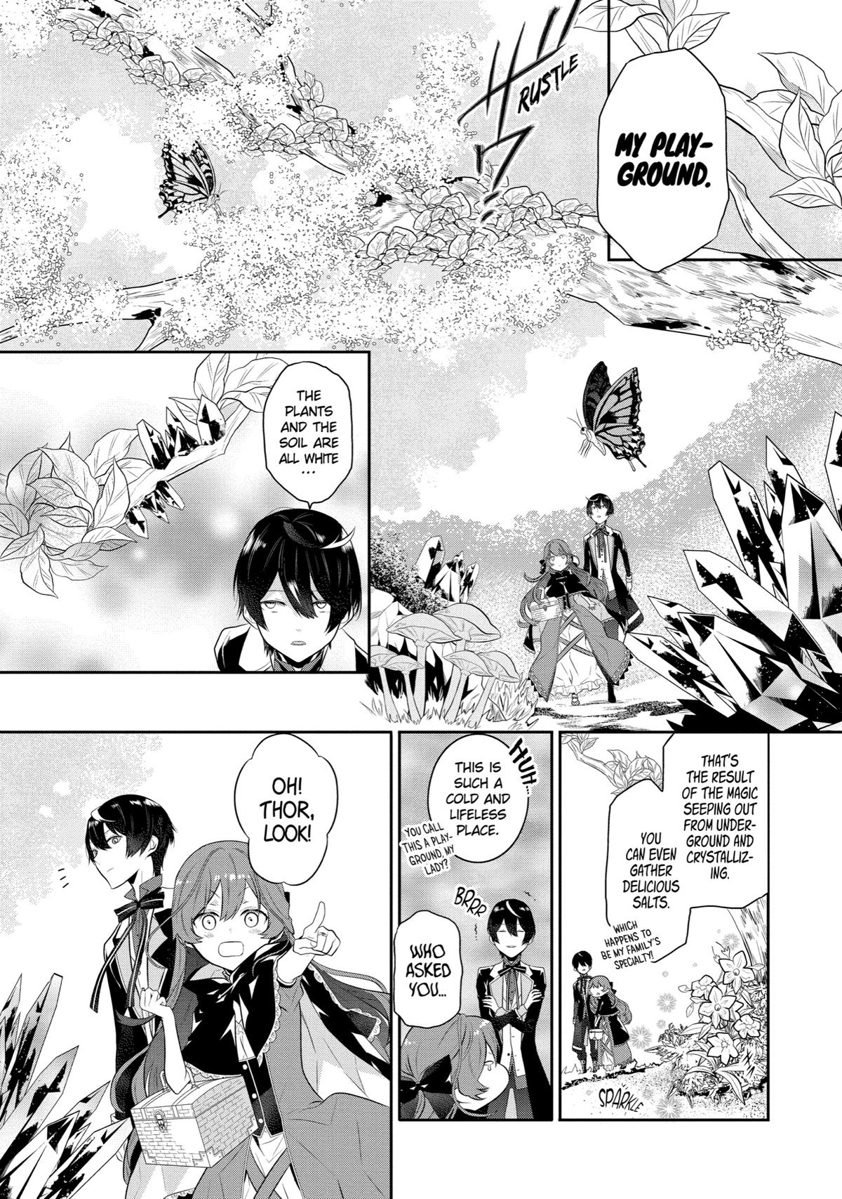 Tales of Reincarnation in Maydare - This World