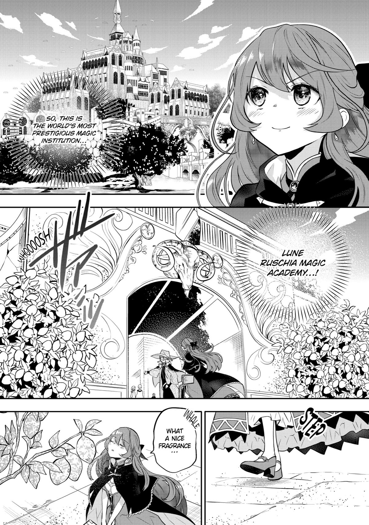 Tales of Reincarnation in Maydare - This World