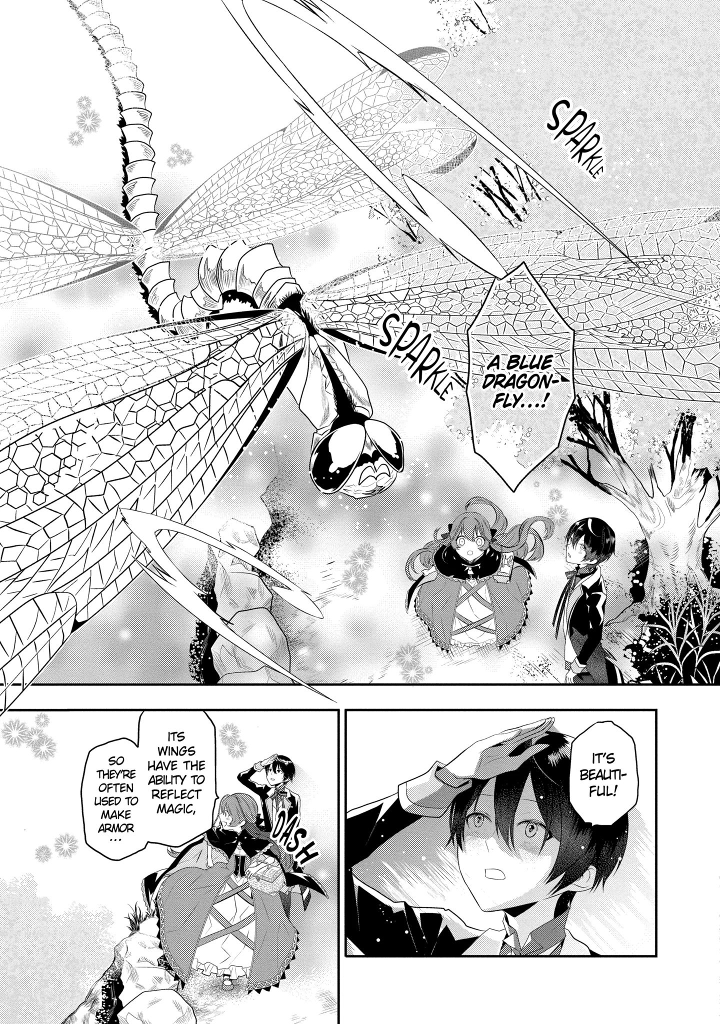 Tales of Reincarnation in Maydare: This World
