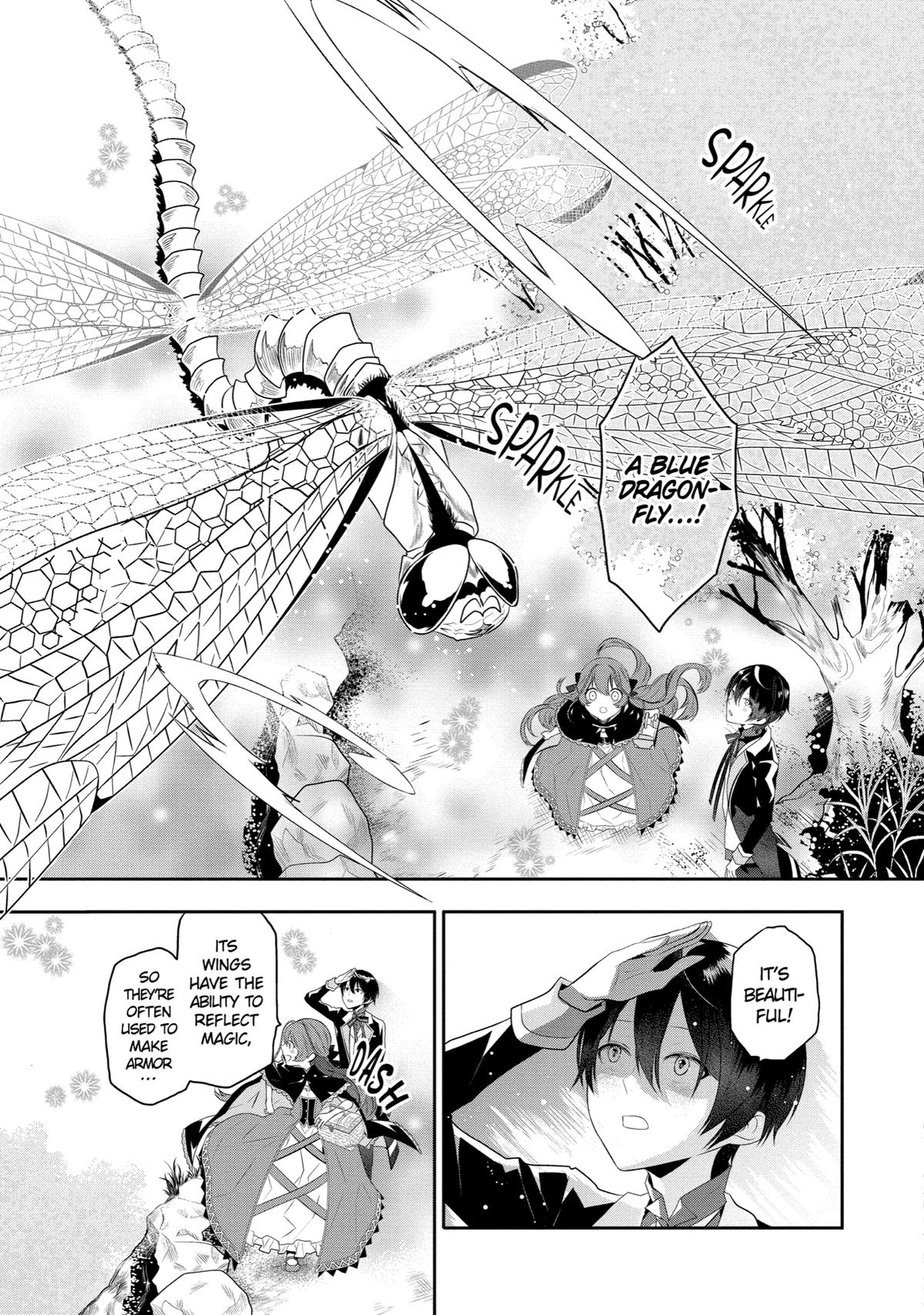 Tales of Reincarnation in Maydare: This World