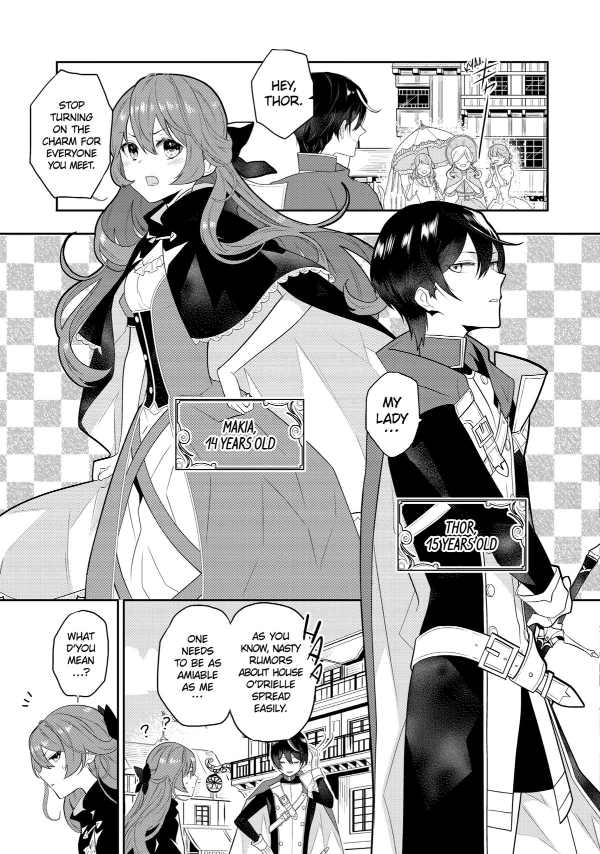 Tales of Reincarnation in Maydare: This World
