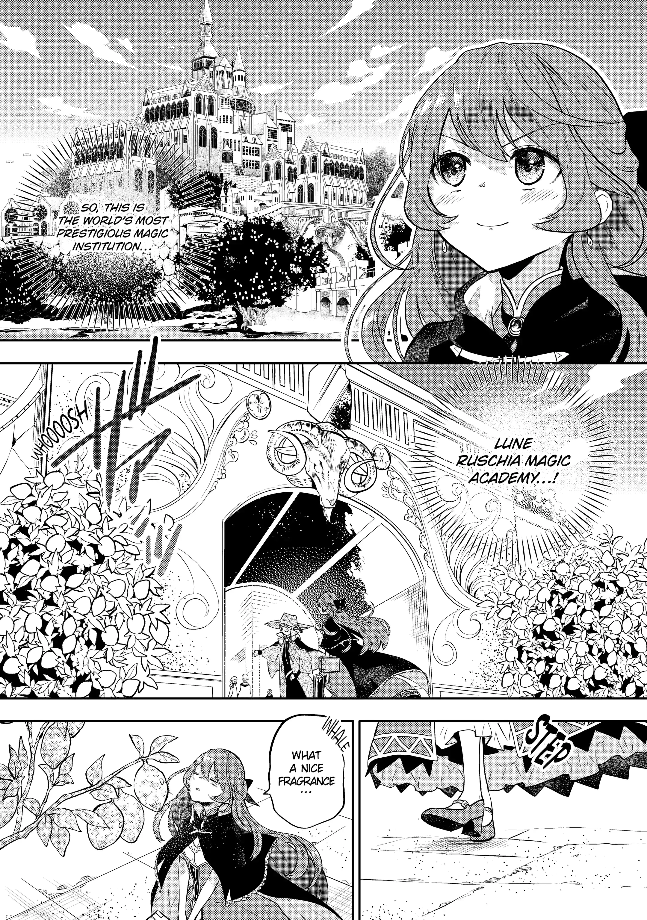Tales of Reincarnation in Maydare: This World