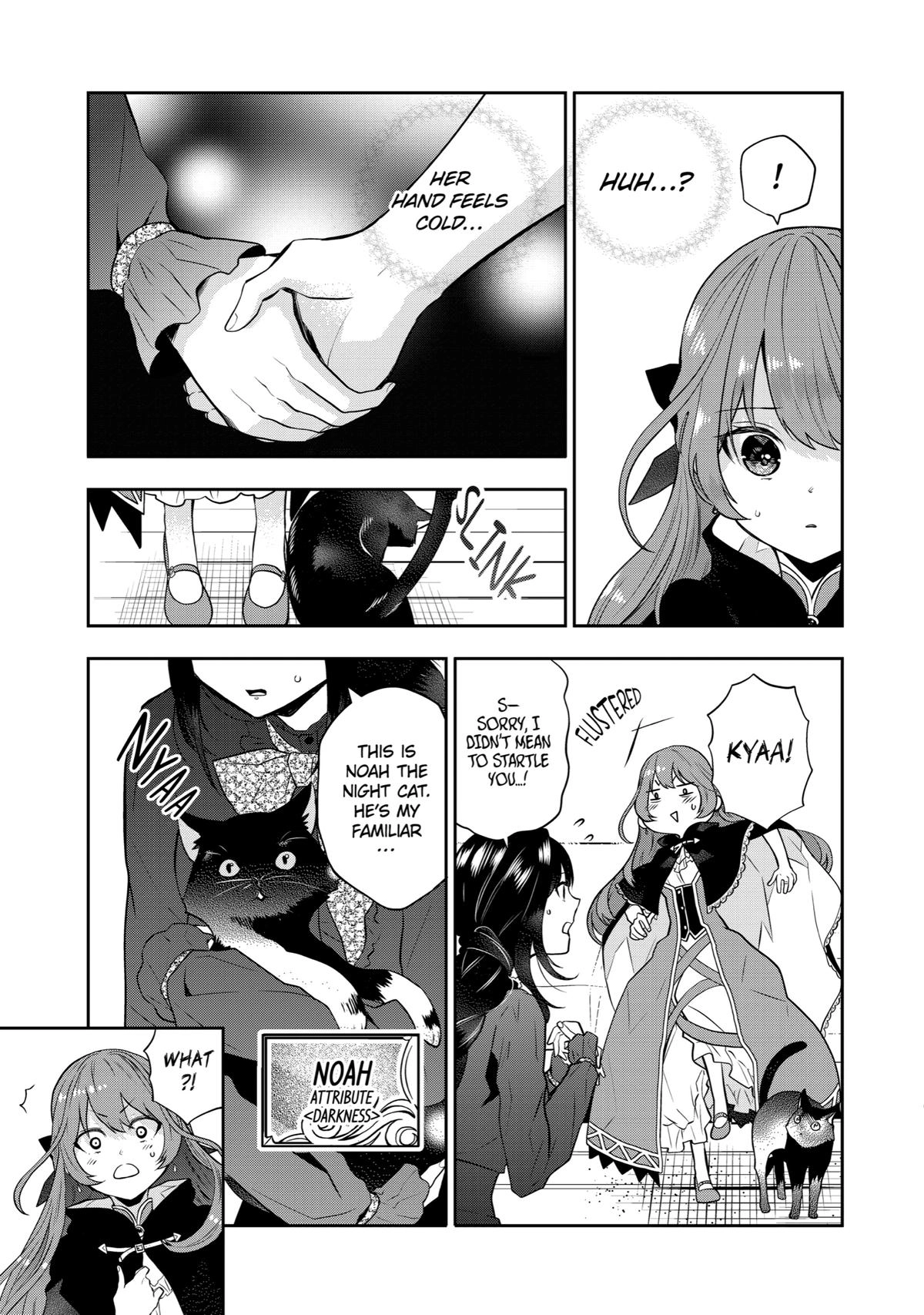 Tales of Reincarnation in Maydare: This World
