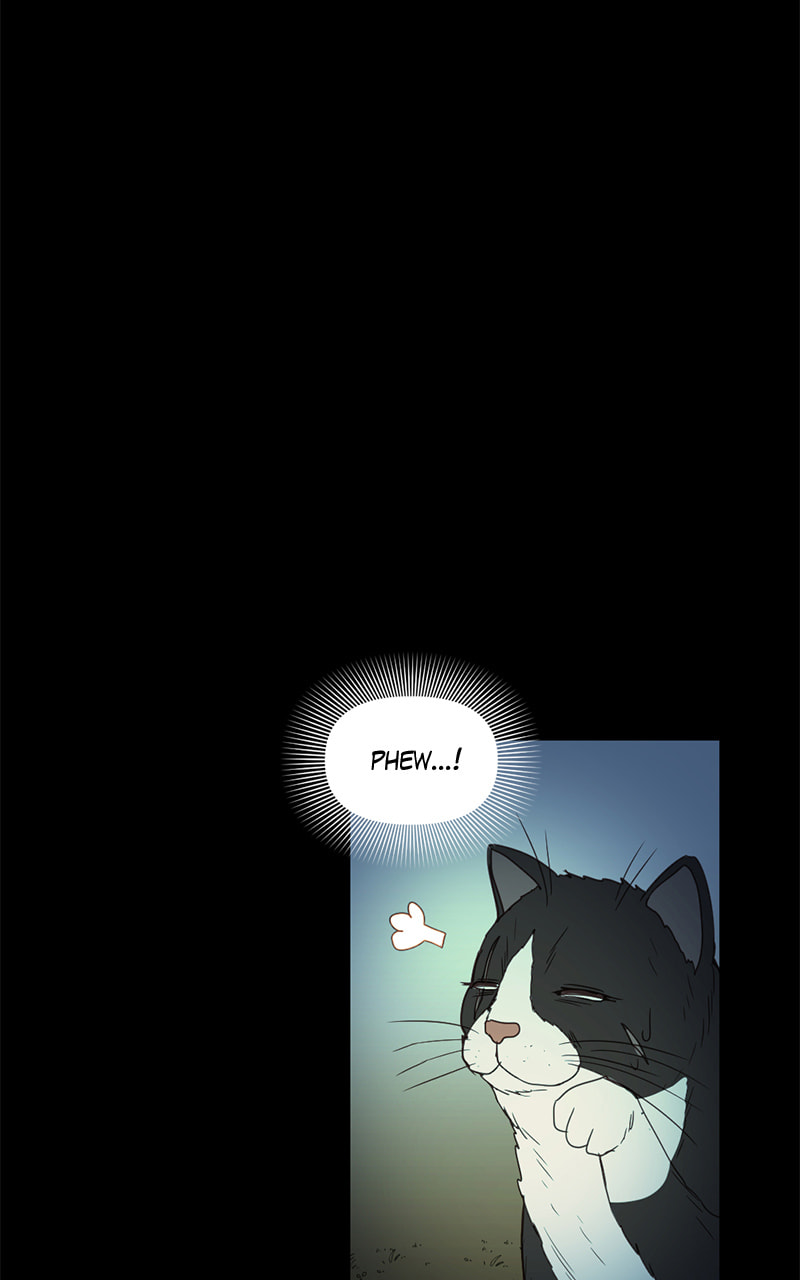 Tales of Sarimin the Jinn Chapter 44 page 43 - 