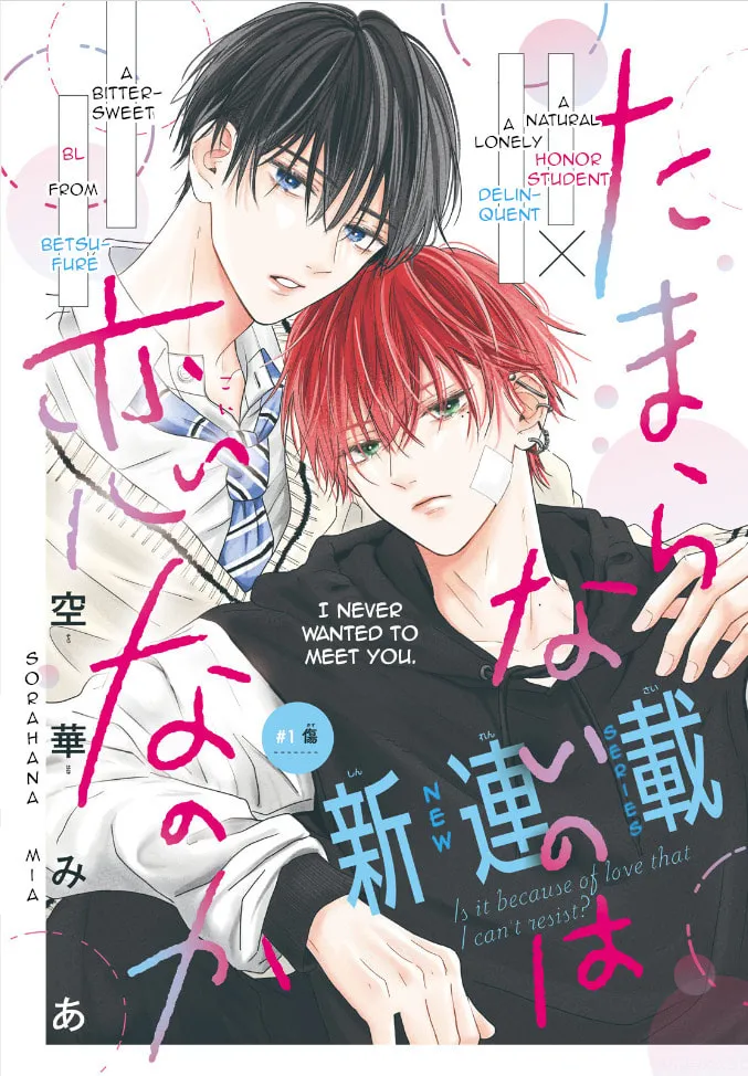 Tamaranai no wa Koi na no ka Chapter 1 page 1 - 