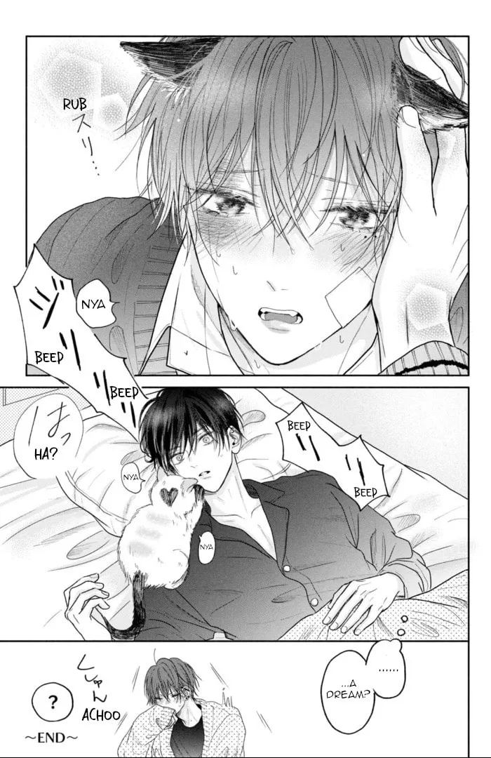 Tamaranai no wa Koi na no ka Chapter 4.5 page 4 - 
