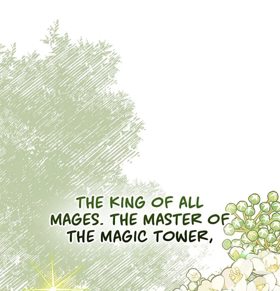 Taming My Master Mage Chapter 16 page 78 - 