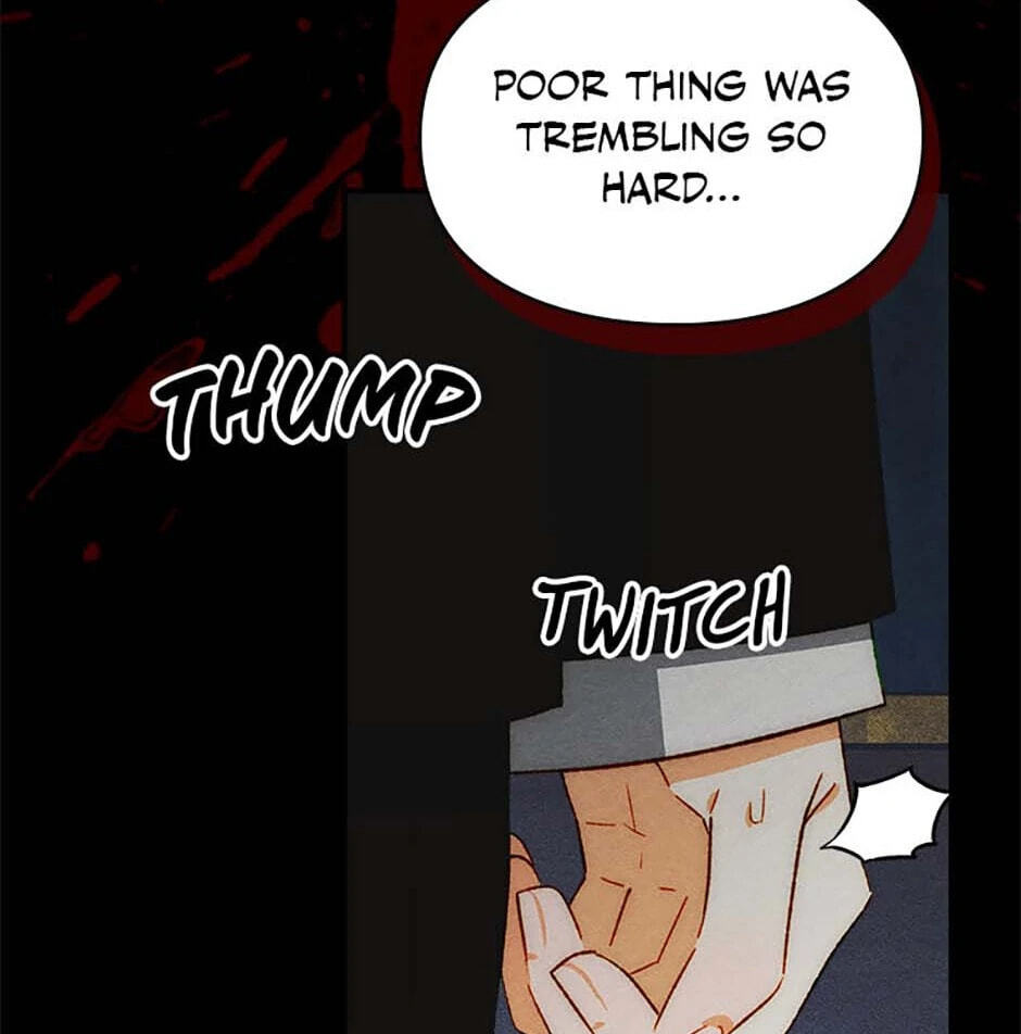 Taming My Master Mage Chapter 19 page 61 - 