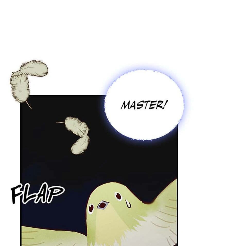 Taming My Master Mage Chapter 19 page 82 - 