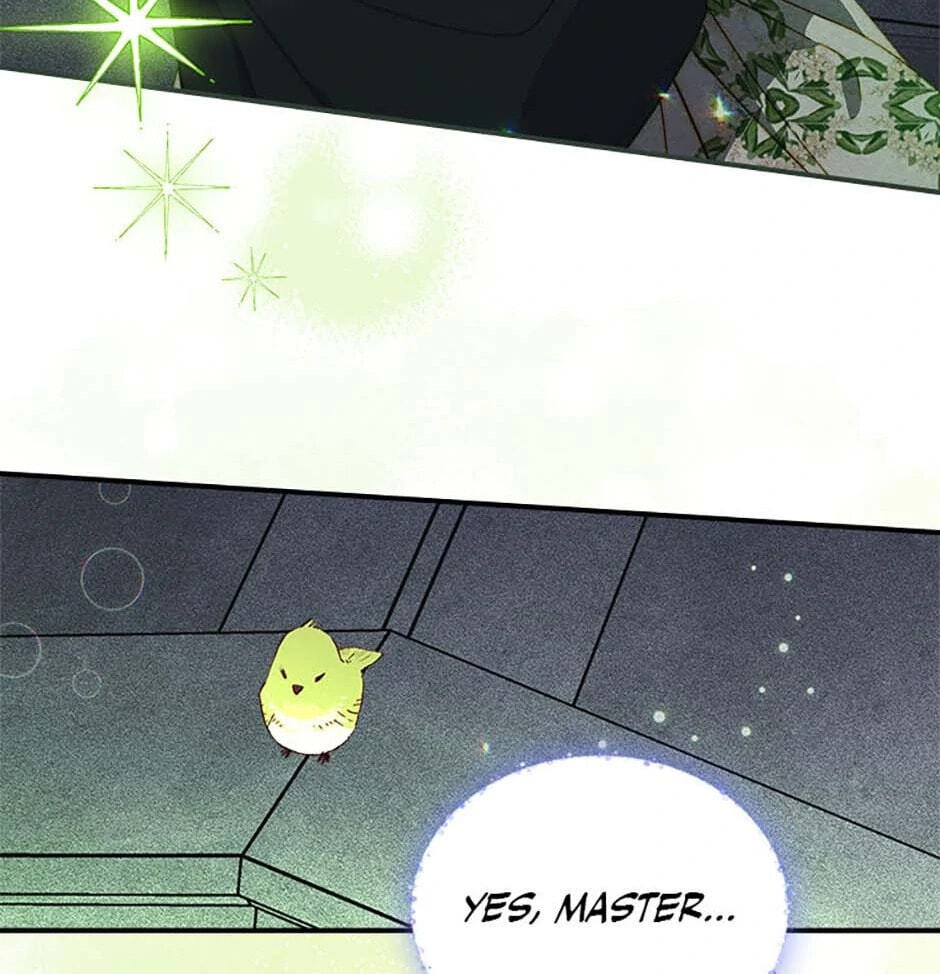 Taming My Master Mage Chapter 19 page 99 - 