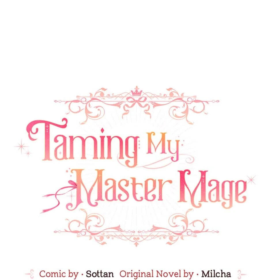 Taming My Master Mage Chapter 25 page 27 - 