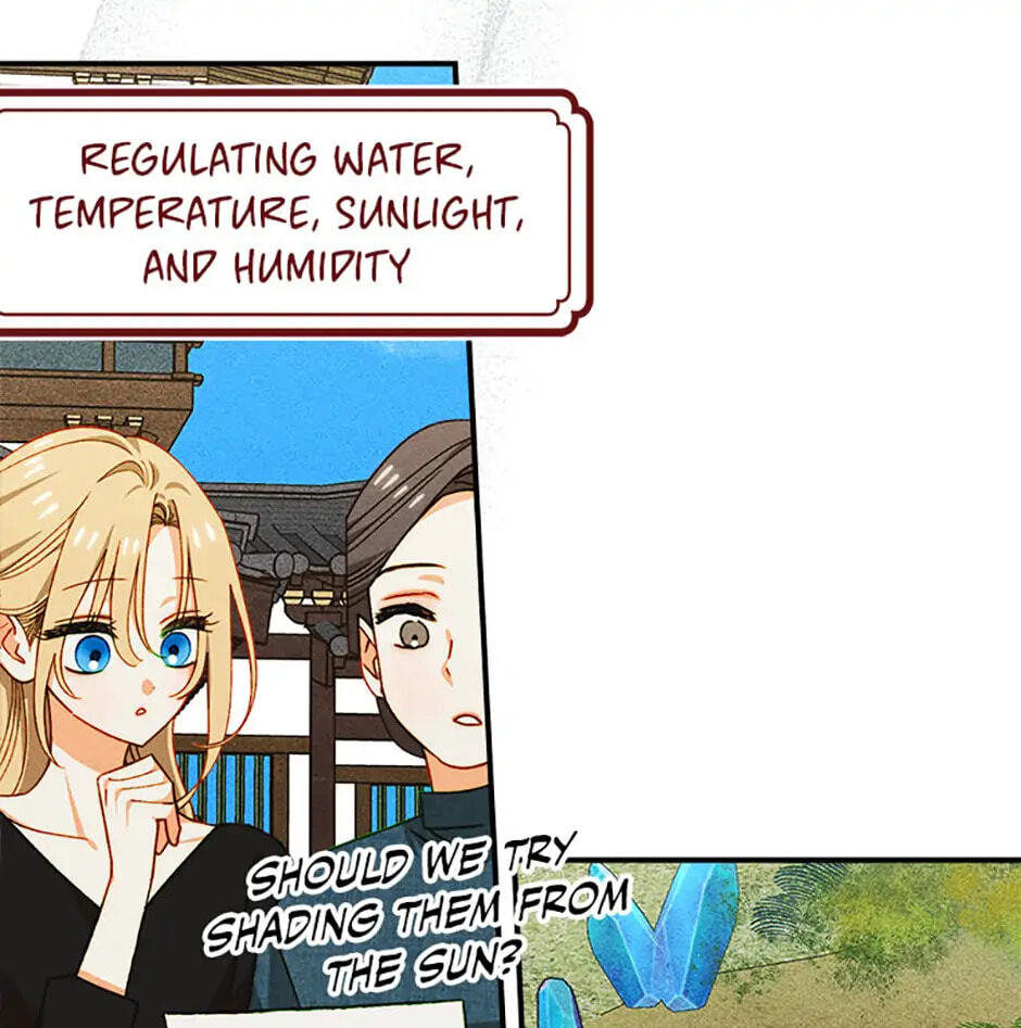 Taming My Master Mage Chapter 29 page 13 - 