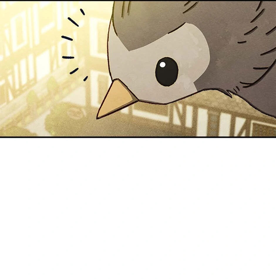 Taming My Master Mage Chapter 3 page 74 - 