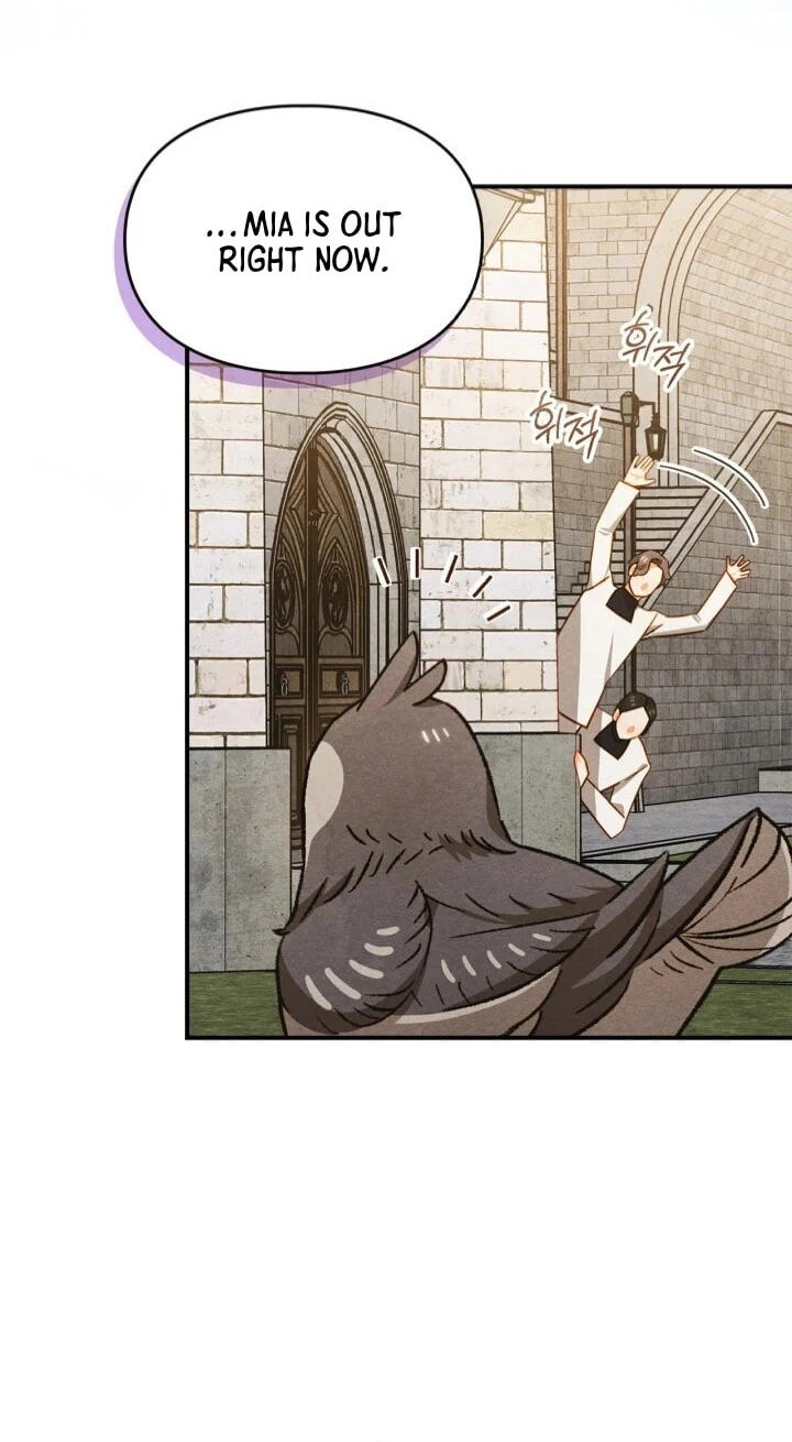 Taming My Master Mage Chapter 40 page 13 - 