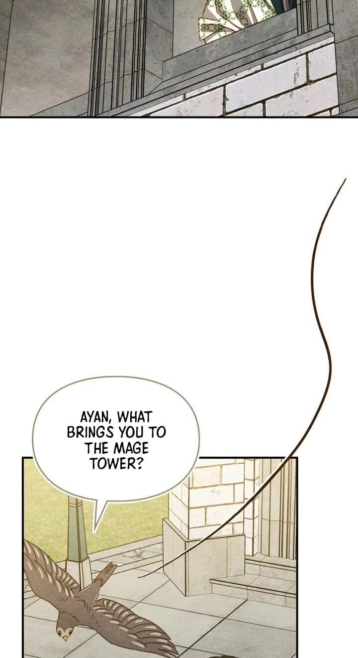Taming My Master Mage Chapter 40 page 10 - 