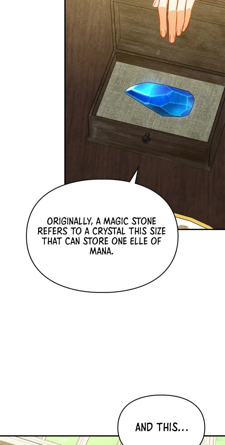 Taming My Master Mage Chapter 43 page 43 - 