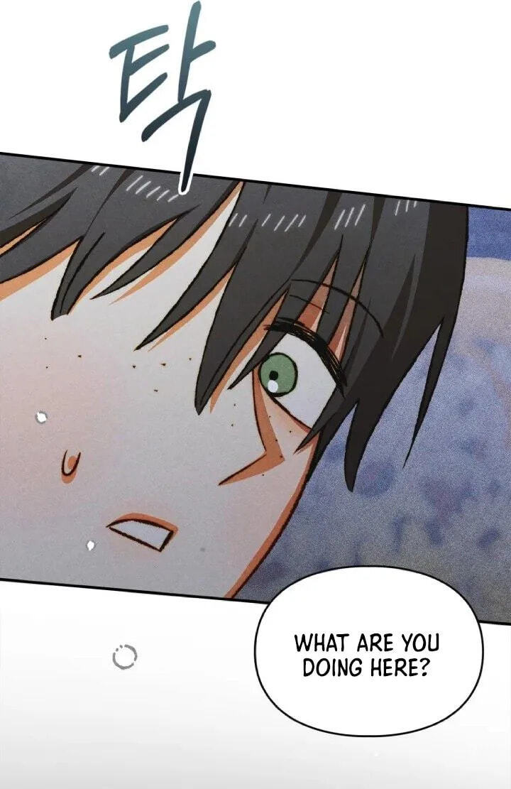 Taming My Master Mage Chapter 50 page 77 - 