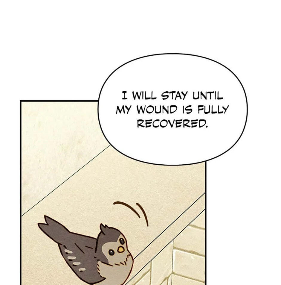 Taming My Master Mage Chapter 6 page 103 - 