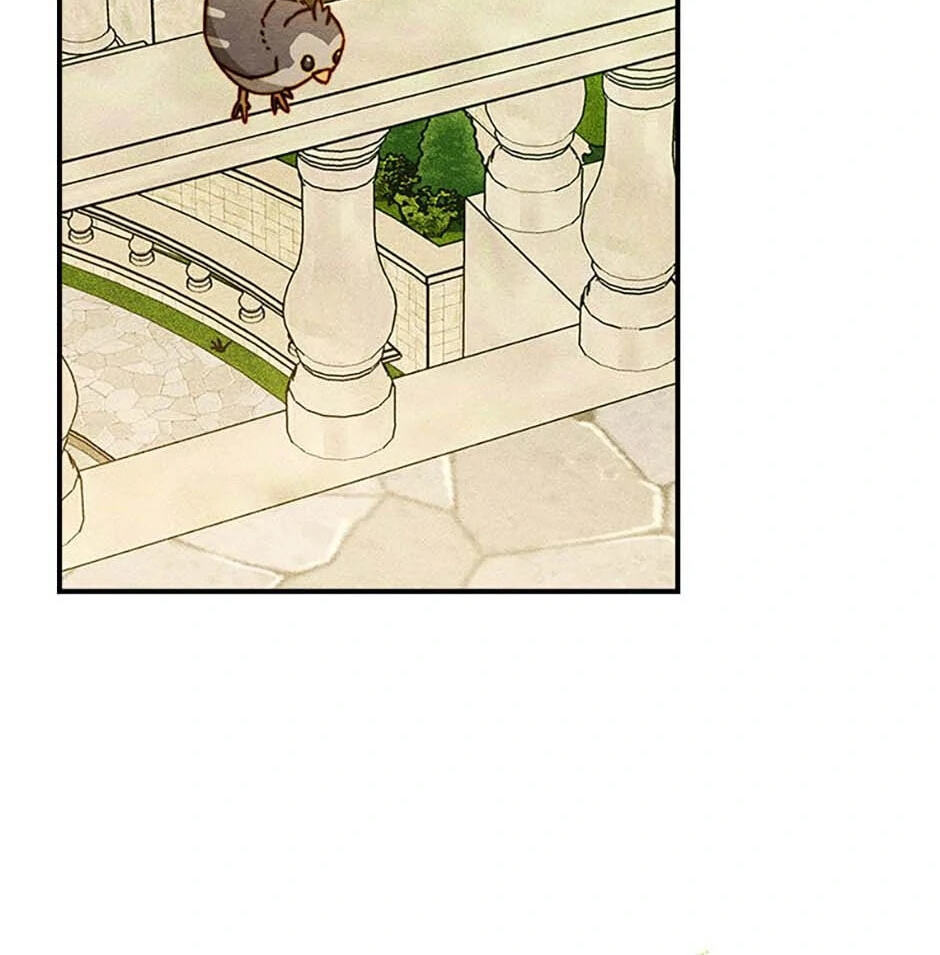 Taming My Master Mage Chapter 6 page 96 - 