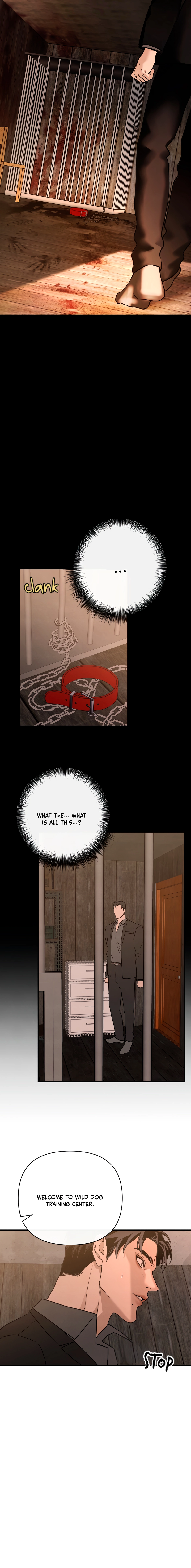 Taming the Alpha Dog Chapter 2 page 12 - 