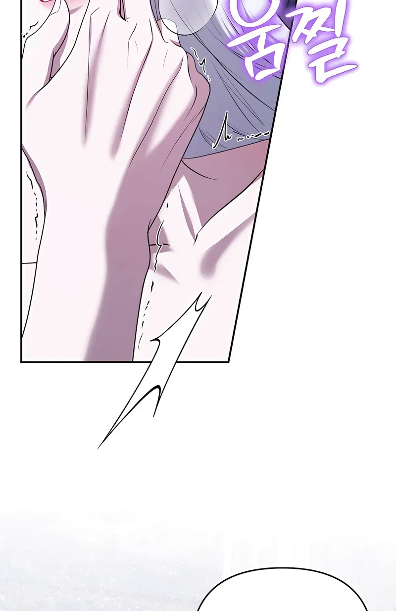 Taming the Arrogant Grand Duke Chapter 46 page 64 - 
