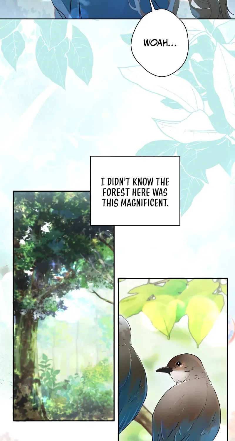 Taming the Shrew Chapter 1 page 34 - 
