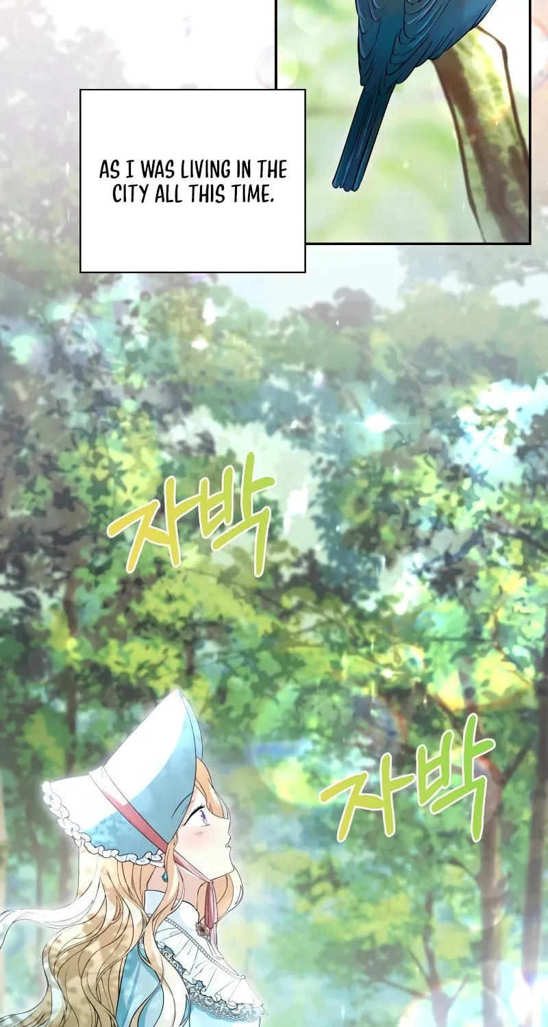 Taming the Shrew Chapter 1 page 35 - 